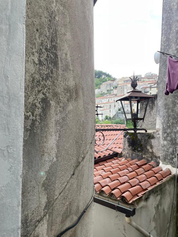Angelina Al Borgo * Aieta